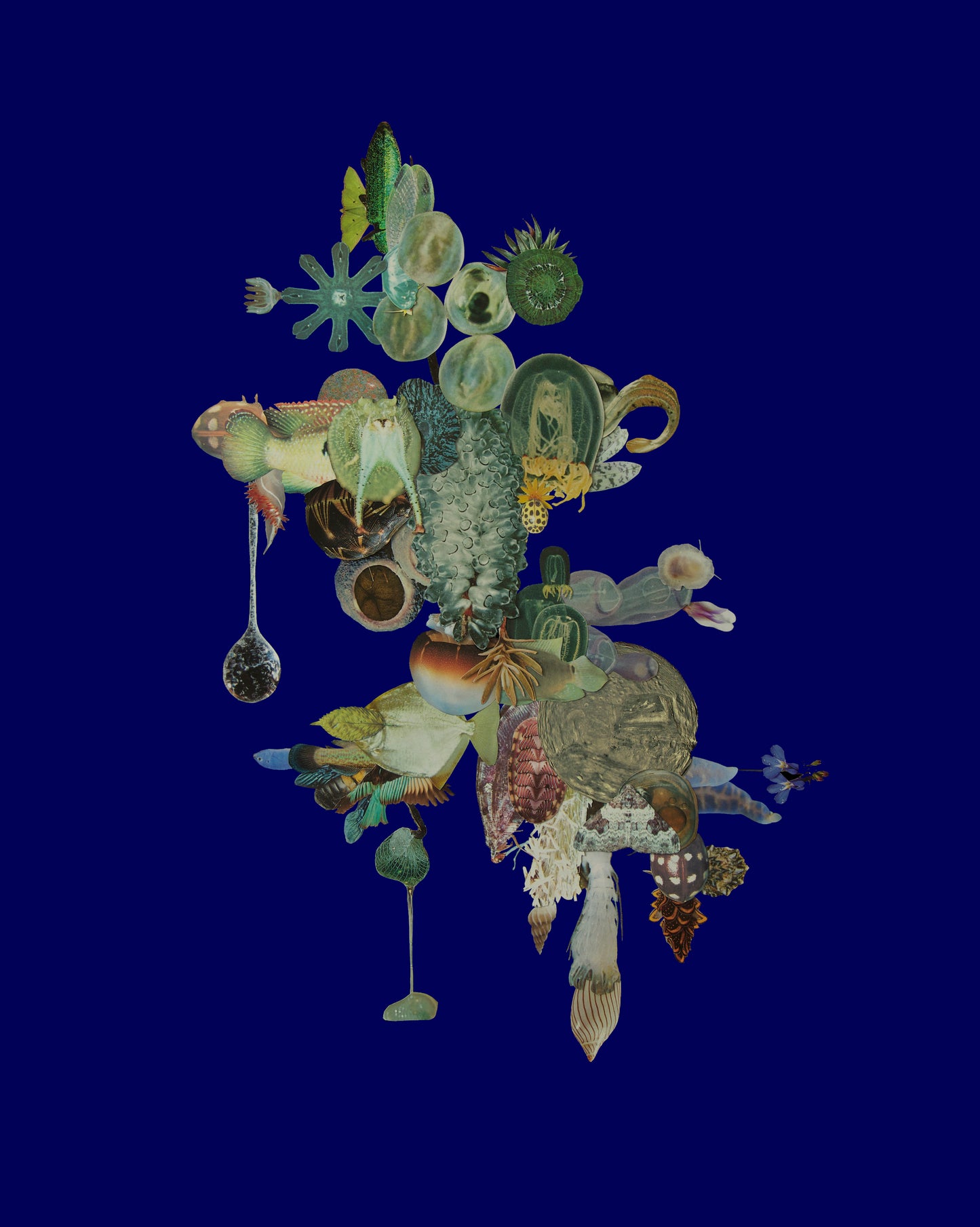 untitled 5 (midnight blue)